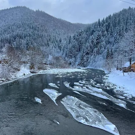 Feriehus на грушівці *