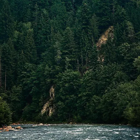 Feriehus на грушівці